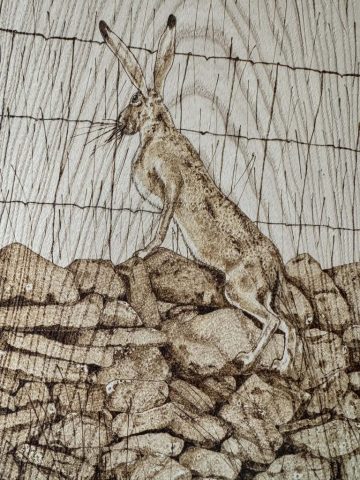 Hare peaking over dry stone wall pyrography