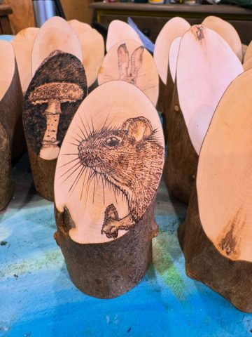 Mouse pyrography - log slice